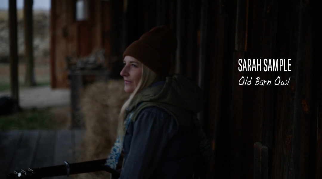 Old Barn Owl, live music video with Sarah Sample